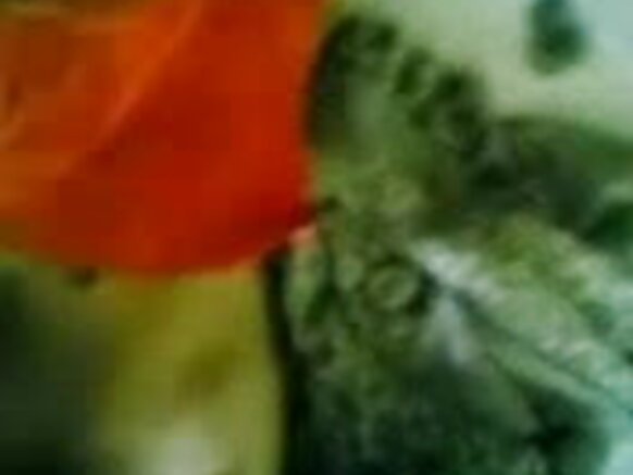 Zaki amarya animea sexy blue movie in teta farji da farji show - JP Special