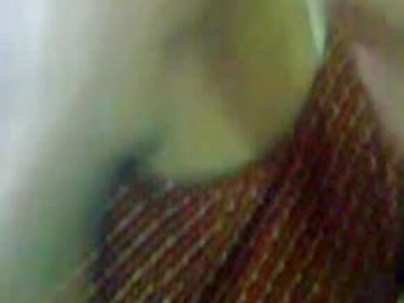 Amarya kafin ta cire gashi hindi farji m movie m sexy chudai audio hindi