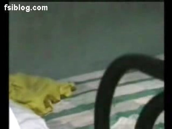 Indiyawan Indiya Sexy Durious Novio Movie