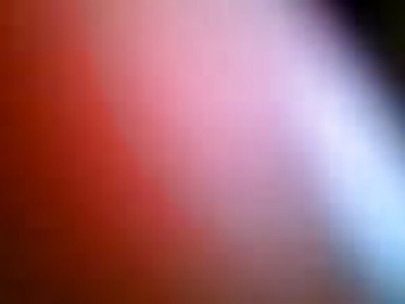 Nepaler