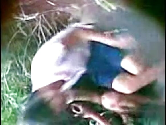 Assam ma'aurata suna tsotsa da cin duri a cikin iska mai kyau na bidiyo mai ban sha'awa