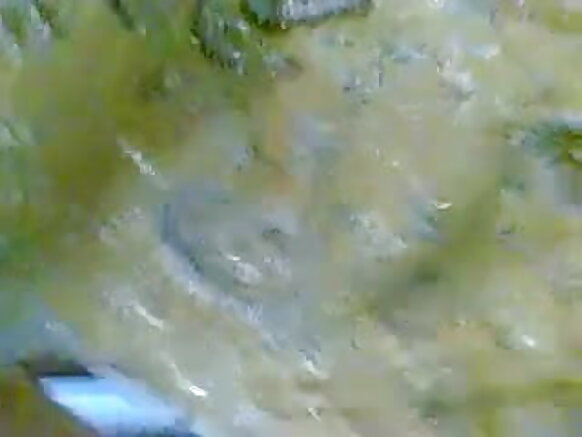 Budurwa Indian Kaya Sabuwar Kasuwa In Amazing HD